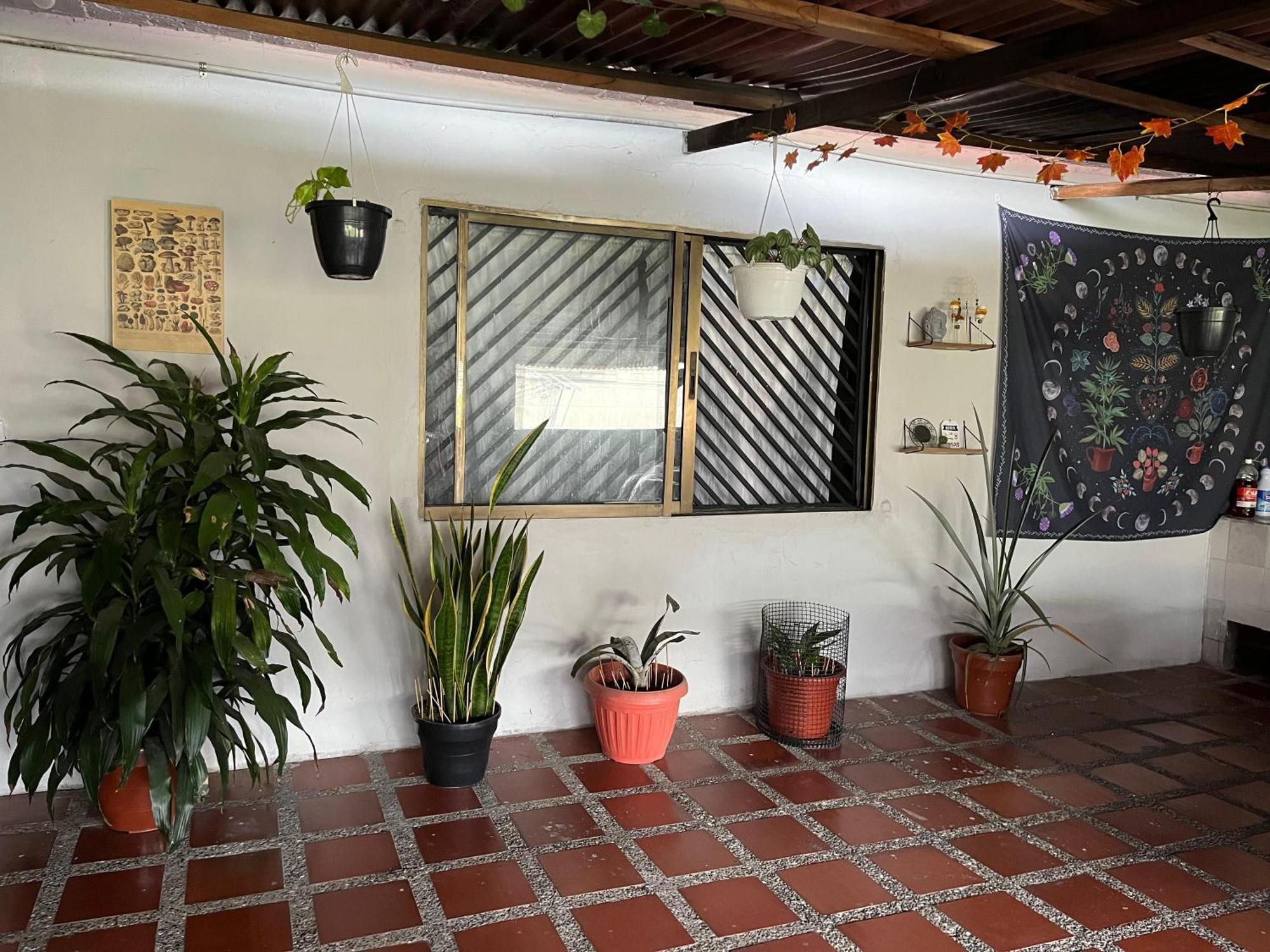 Nice Place Medellín Zewnętrze zdjęcie